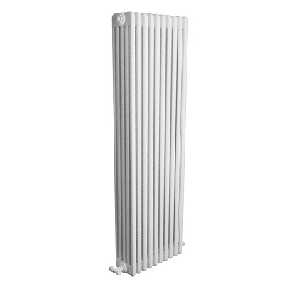 Стальной трубчатый радиатор отопления IRSAP TESI 5 2500, 1 секция (RT52500YY01RI02) Стальной трубчатый радиатор отопления IRSAP TESI 5 2500, 1 секция (RT52500YY01RI02)