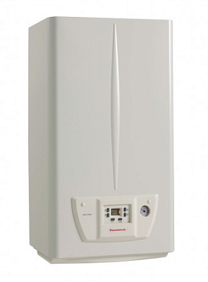 Настенный газовый двухконтурный котел отопления IMMERGAS EOLO STAR 24 4 R