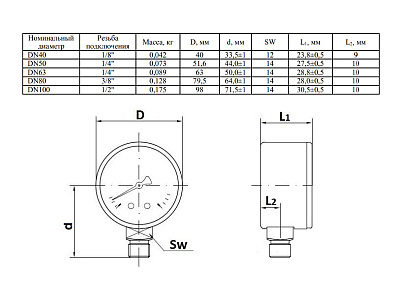 Манометр Watts F+R200 80/10, радиальный