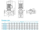Циркуляционный насос CNP TD100-40G/2SWHTJ