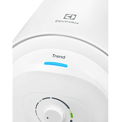 Электрический накопительный водонагреватель Electrolux EWH 100 Trend
